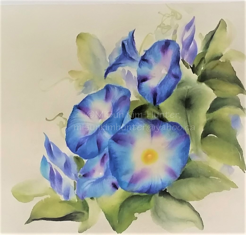 morning glory sample